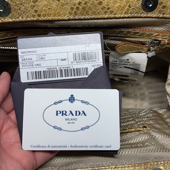 ✨PRADA Pitone Frame Bag w/ Tags - Picture 9 of 12